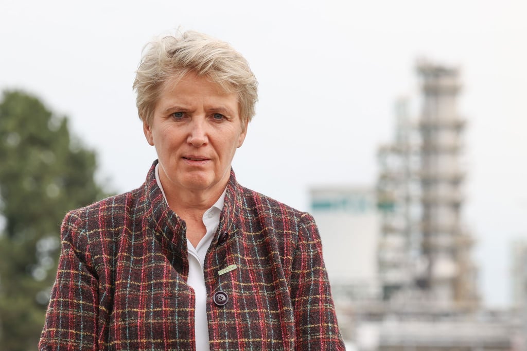 Wird auf einem AfD-Plakat abgebildet: Landrätin Dörk. (Archivbild)