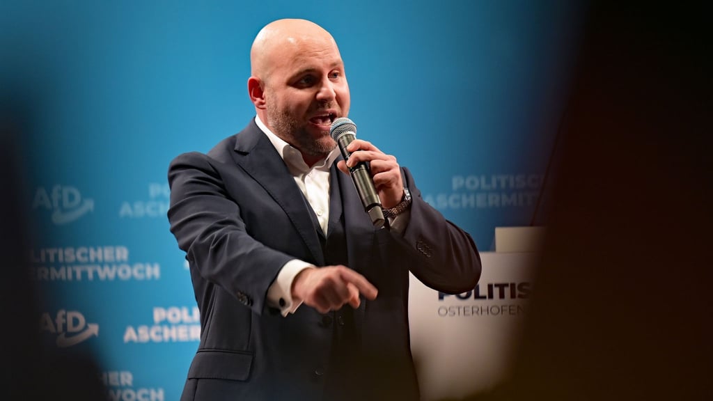 Frohnmaier tritt als Spitzenkandidat der AfD im Südwesten an.