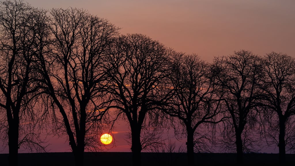 Am Tag lautet die Prognose: Sonnenschein und frühlingshafte Temperaturen.