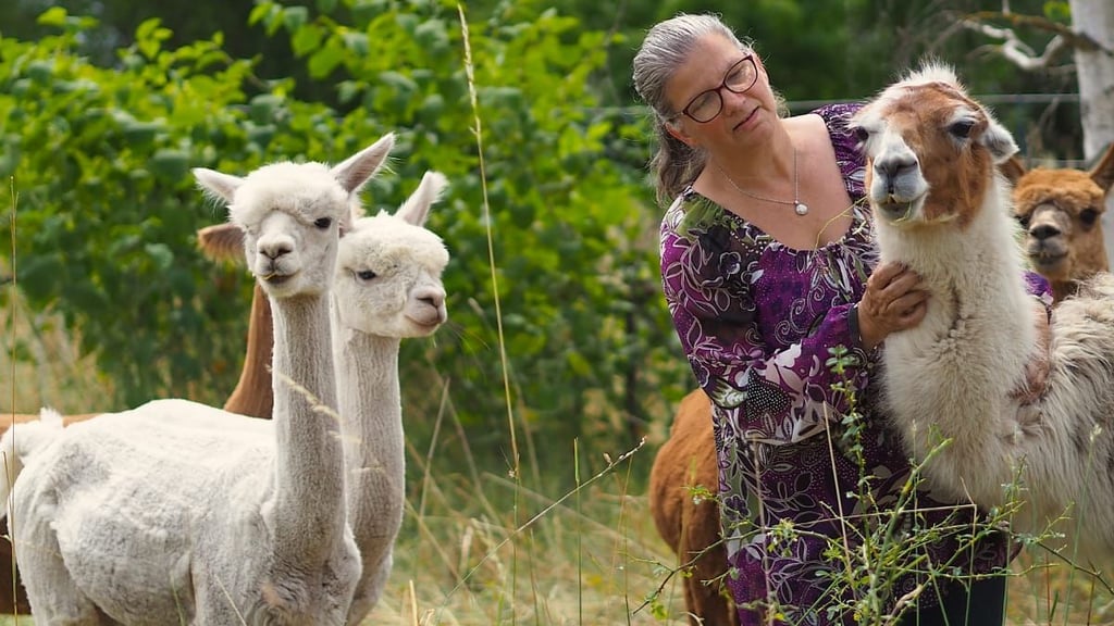 Astrid Heidenreich kümmert sich um 26 Alpakas und ein Lama in Lieskau im Saalekreis.