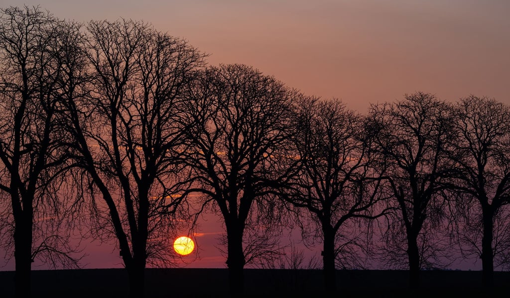 Am Tag lautet die Prognose: Sonnenschein und frühlingshafte Temperaturen.
