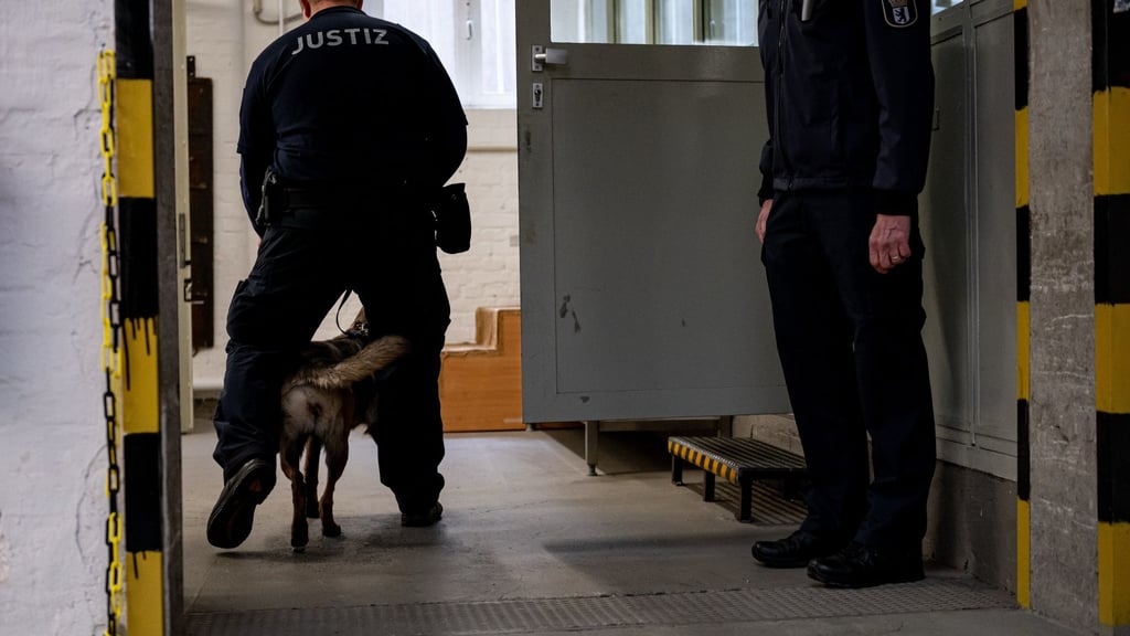Ein Hund der justizeigenen Hundestaffel läuft mit einem Justizbeamten in der Justizvollzugsanstalt Tegel. (Archivbild)