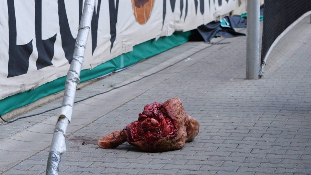 Stein des Anstoßes: Bullenkopf bei Dynamo Dresden gegen RB Leipzig.