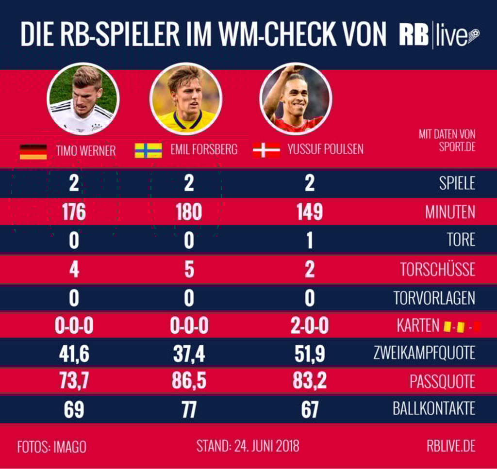 RB Spieler im WM-Check
