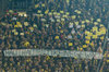In Teilen des Stadions beteiligten sich BVB-Fans intensiv an der Aktion gegen Gewalt vor dem Spiel gegen Hertha BSC.