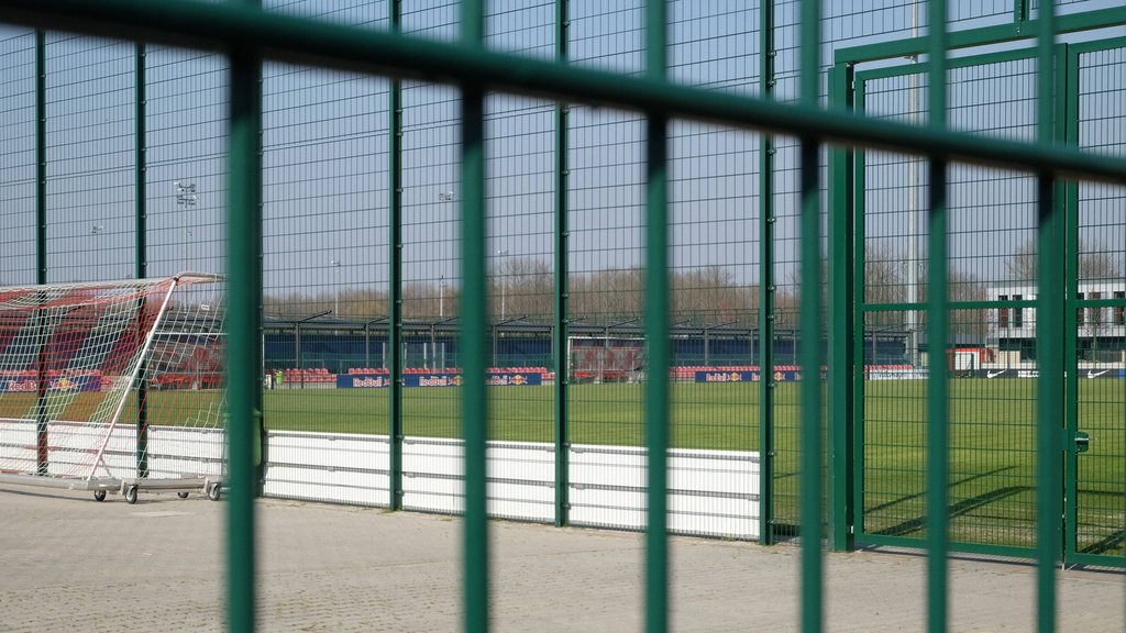 In Kleinstgruppen wird am Cottaweg wieder trainiert, aber ohne Öffentlichkeit.