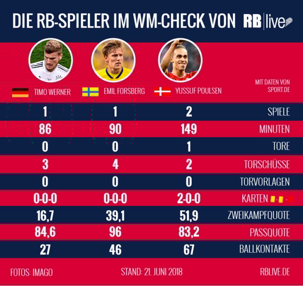 RB Spieler im WM-Check