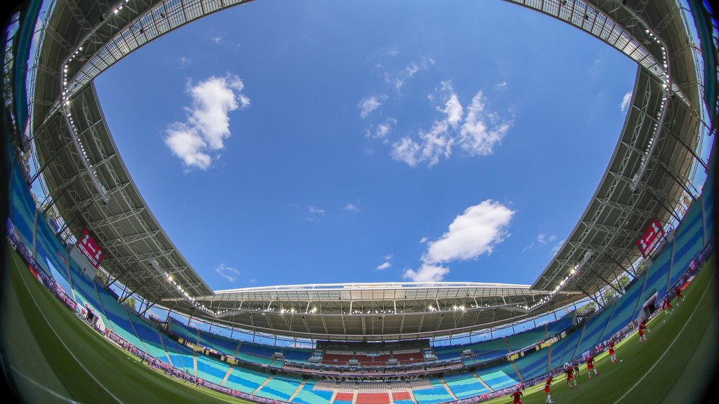 Schwimmbadoptik beim Geisterspiel-Auftakt: Red-Bull-Arena am Samstagnachmittag.