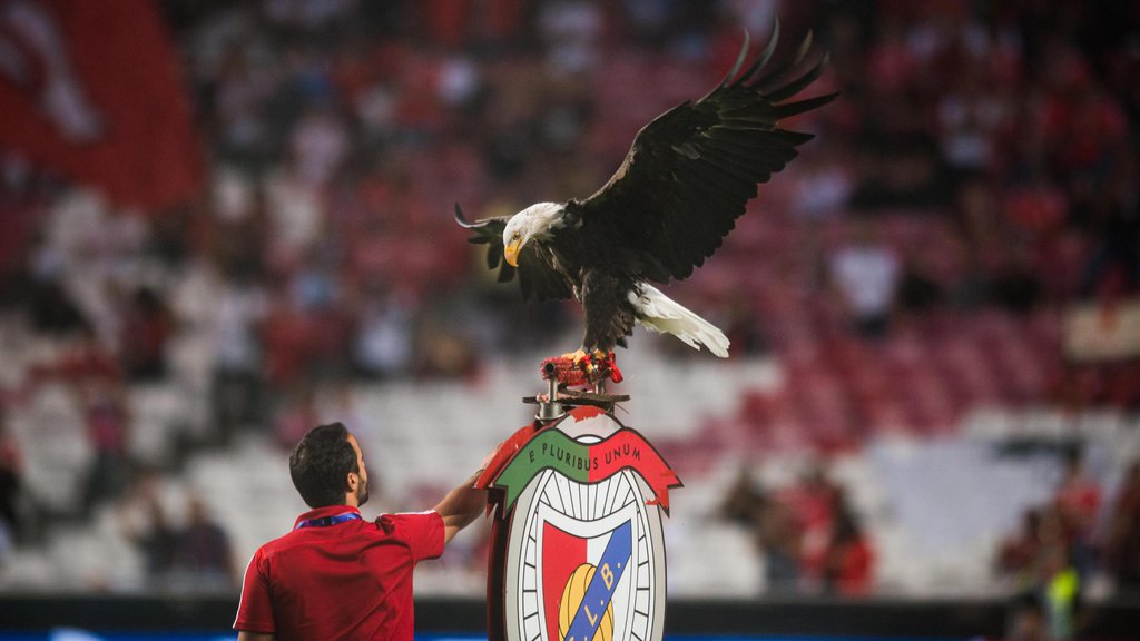 Wo der Adler kreist: Das Champions-League-Turnier soll in Lissabon stattfinden.