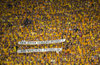 Banner beim Spiel zwischen Dynamo Dresden gegen RB Leipzig.