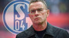 Ralf Rangnick spricht mit dem FC Schalke04 über eine mögliche Rückkehr.