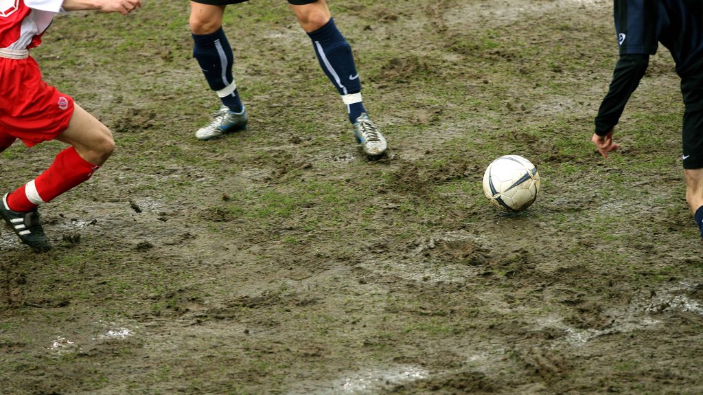 Schlammball: Der Mainzer Fußballrasen?
